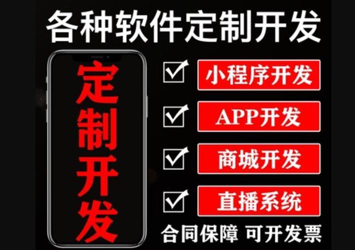 广州南沙区软件开发app定制外包排名红匣子科技